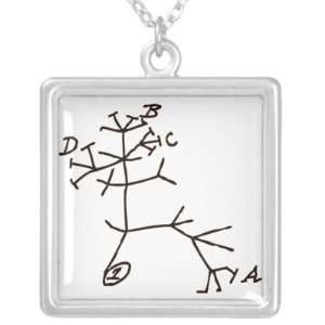  Darwins Tree Jewelry