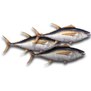 Yellowfin Tuna Steaks, 1 Pound Grocery & Gourmet Food