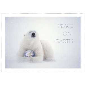 Birchcraft Studios 0067 Polar for Peace   Silver Lined Envelope with 