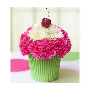 Mothers Day Flowers by 1 800 Flowers   Cupcake in Bloom for Spring 