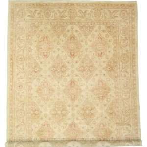  911 x 134 Ivory Hand Knotted Wool Ziegler Rug Furniture 