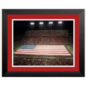   in. x 24 in. American Flag at Carter Finley Stadium
