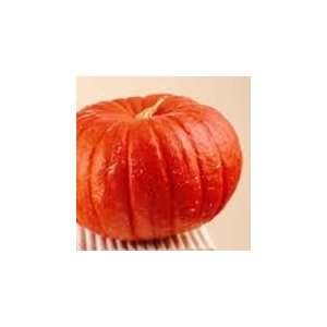  Todds Seeds   Pumpkin   Cinderella Pumpkin Seed, Sold by 