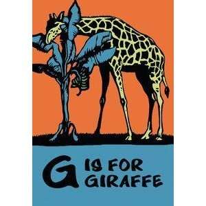  Vintage Art G is for Giraffe   12431 8