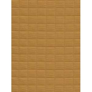  1595 Chic in Camel by Pindler Fabric