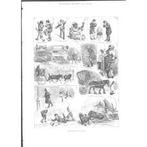  Frosty London Life Out Of Season Antique Print 1883