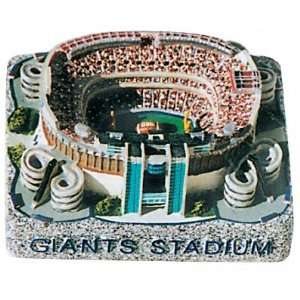  Giants Stadium Replica (New York Giants)   Silver Series 