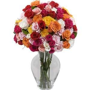 50 Blooms of Multicolored Spray Roses without Vase  