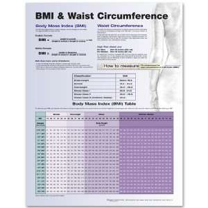 BMI Waist Circumference Chart  Industrial & Scientific