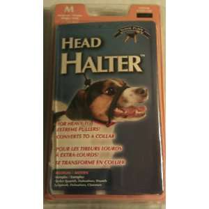  Head Halter Collar   Yuppie Puppy  M