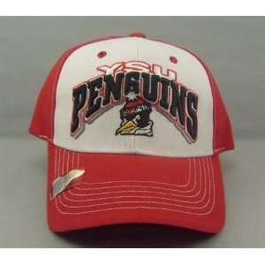  Youngstown State Penguins Adjustable Hat Sports 