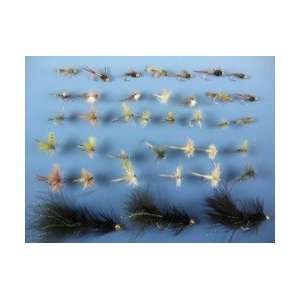  The Trout Spot Eastern Fly Assortment   38 Piece Sports 