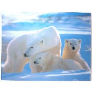  3D Lenticular Stereoscopic Print Paint Picture Polar Bear 