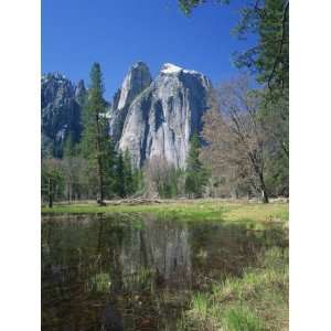 Reflecting Trees and the Cathedral Rocks in the Yosemite National Park 