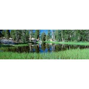  Tuolumne Meadows Pond, High Country, Yosemite National Park 