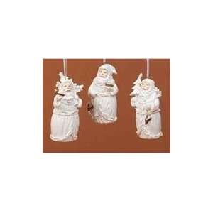  Club Pack of 12 Winters Beauty White Santa Claus 