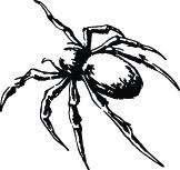 SPIDER #4 OUTLINE DECAL GRAPHIC CAR TRUCK SUV SEMI HOOD  