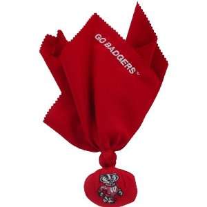 Wisconsin Badgers Couch Flags