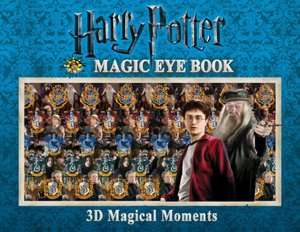   Harry Potter Poster Book Inside the Magical World 