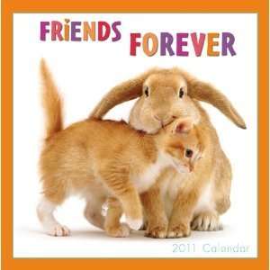 Friends Forever 2011 Mini Calendar