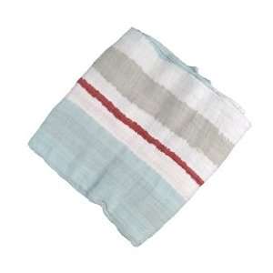  Liam the Brave Swaddle Blanket   C (Stripes) Baby