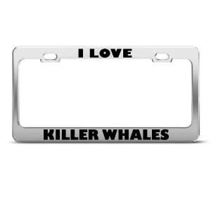  I Love Killer Whales Whale Animal license plate frame 