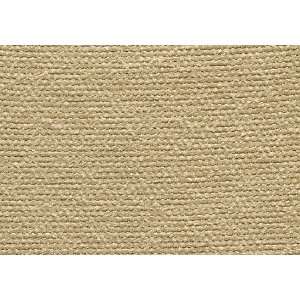 8849 Brunswick in Flax by Pindler Fabric