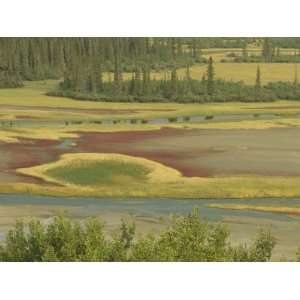 Underground Streams Emerge at the Salt Plains in the Park Photographic 