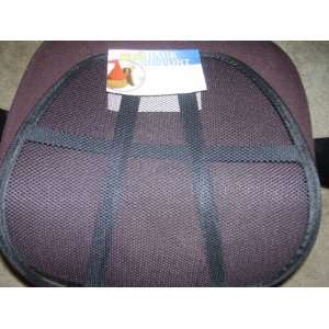 Mesh Back Support   Relieve Stress From Your Back, 1 pc,(Greenbrier 