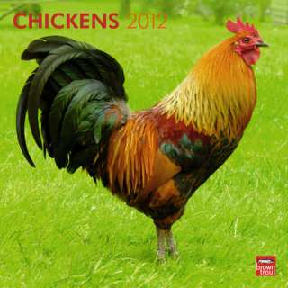 Chickens 2012 Wall Calendar  