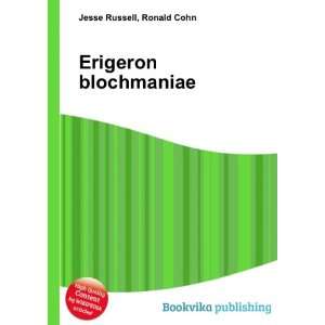  Erigeron blochmaniae Ronald Cohn Jesse Russell Books