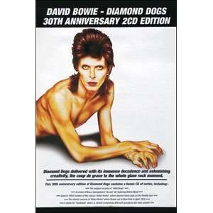 David Bowie   Posters   Limited Concert Promo
