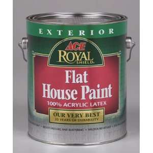  Ace Royal Shield Exterior Flat House Paint