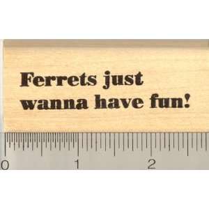    Ferrets Just Wanna Have Fun Rubber Stamp Arts, Crafts & Sewing