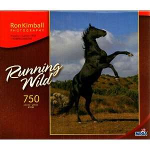   Photography Running Wild Black Horse 750 Piece Puzzle Toys & Games