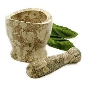  Fossil Marble Mortar and Pestle Fossil Marble Mortar and 