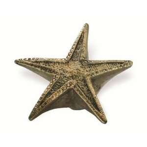  Siro Designs Starfish Shell (SD79144)   Antique Brass 