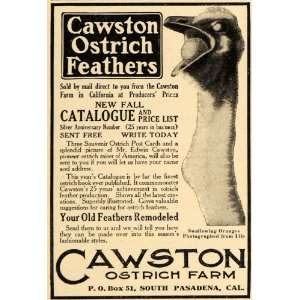  1911 Ad Cawston Ostrich Farm Feathers California Orange 