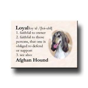 Afghan Hound Dictionary Loyal Fridge Magnet No 2