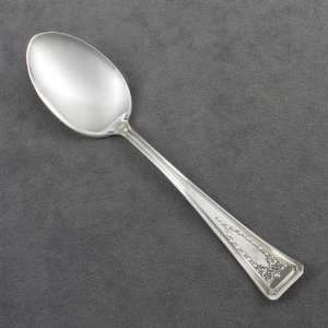   Roanoke by American Silver Co., Silverplate Teaspoon