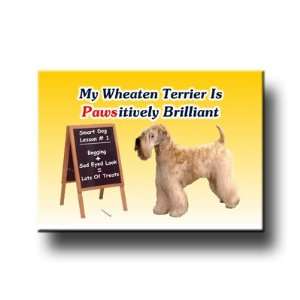 Wheaten Terrier Pawsitively Brilliant Fridge Magnet