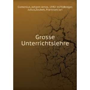   Grosse Unterrichtslehre (German Edition) Johann Amos Comenius Books