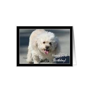 Happy Birthday Bichon Frise dog Card Health & Personal 