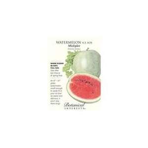  Botanical Interest   Watermelon Ice Box Mickylee Patio 