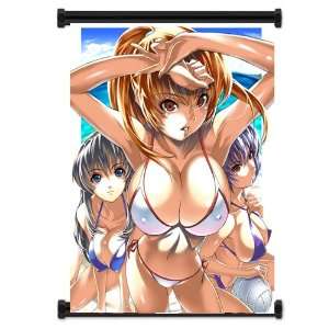  Dead or Alive Game Fabric Wall Scroll Poster (16x21 
