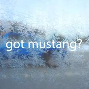 Got Mustang? White Decal Horse Breed Pony Window White 