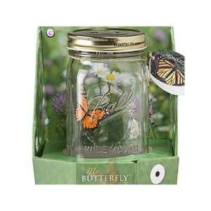 Fluttering Butterfly Monarch Butterly in a Jar NEW  
