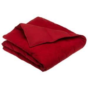  National Sleep Products Micro Suede Down Blanket, Sienna 