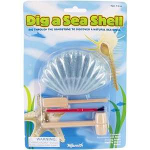  ToySmith   Dig A Sea Shell Toys & Games