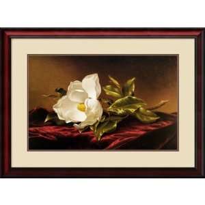 Magnolia Grandiflora Framed Print by Martin Johnson Heade Framed 